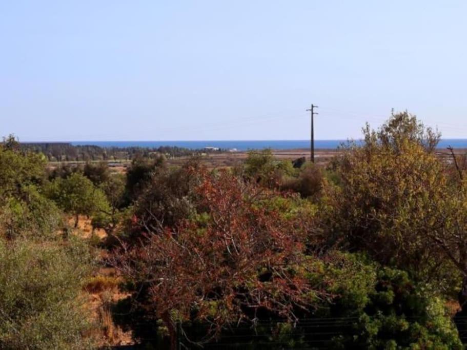 - Pool And Sea View & Tennis Court & Bbq Apartment Pera